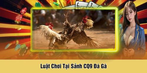 Luáº­t ChÆ¡i Táº¡i Sáº£nh CQ9 ÄÃ¡ GÃ -QfL4EvSUh-.jpg