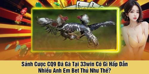 Sáº£nh CÆ°á»£c CQ9 ÄÃ¡ GÃ  Táº¡i 33win CÃ³ GÃ¬ Háº¥p Dáº«n Nhiá»u Anh Em Bet Thá»§ NhÆ° Tháº¿-bC4yZt0RN8.jpg